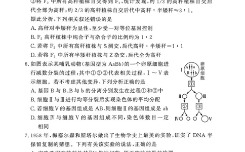 2025-2026学年高三下学期四月阶段检测生物_2024-2026高三（6-6月题库）_2026年04月高三试卷_260412河南省湘豫联盟2025-2026学年高三下学期四月阶段检测（全科）