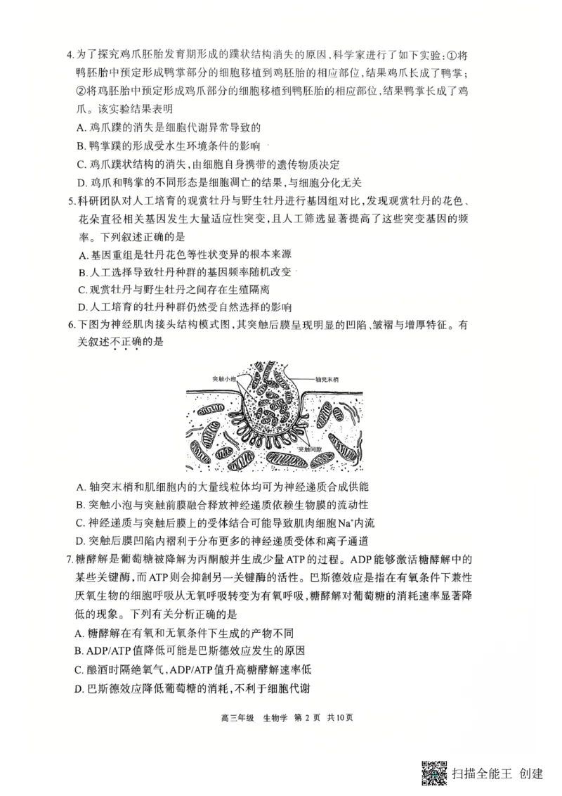 2026届内蒙古呼和浩特市高三年级第一次模拟考试生物学试卷_2024-2026高三（6-6月题库）_2026年03月高三试卷_2603222026届内蒙古呼和浩特市高三下学期第一次模拟考试（全科）