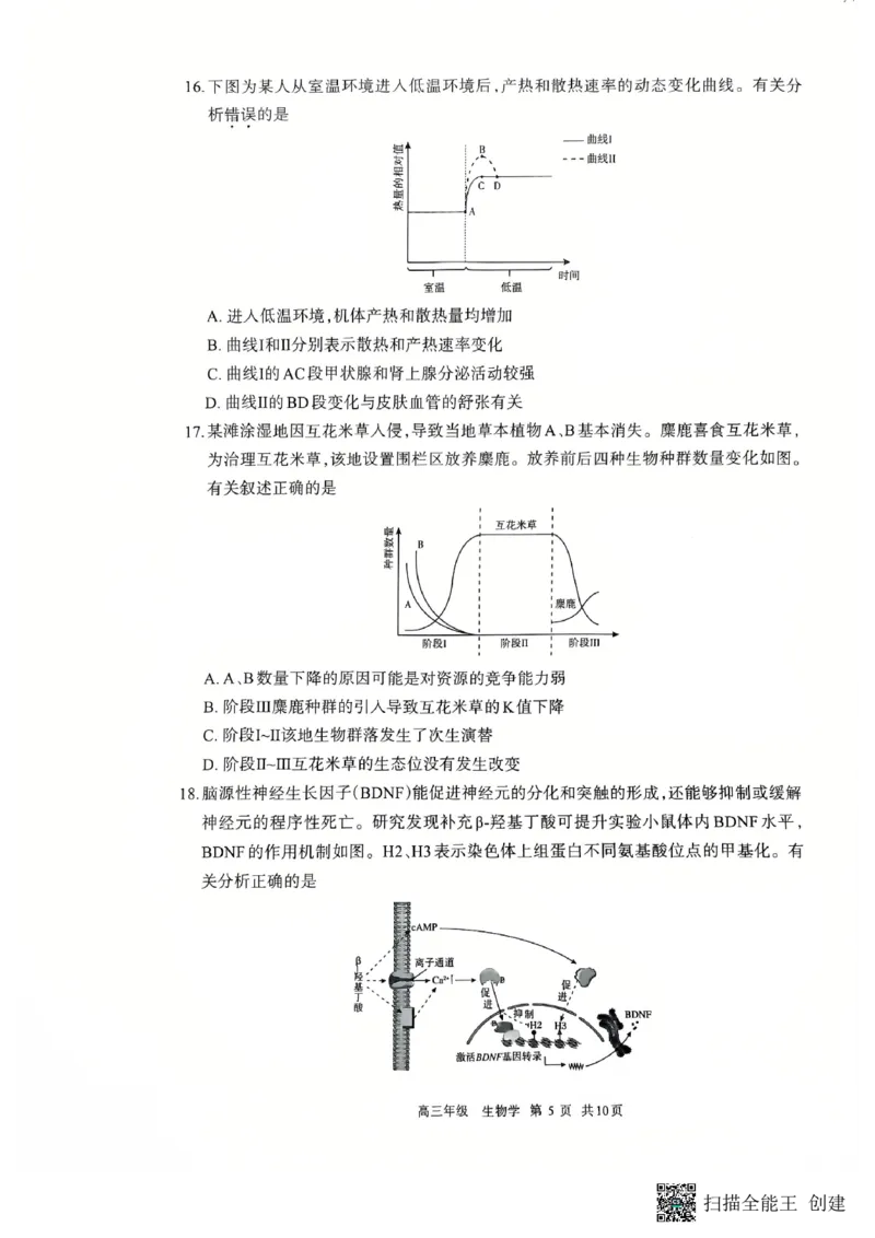2026届内蒙古呼和浩特市高三年级第一次模拟考试生物学试卷_2024-2026高三（6-6月题库）_2026年03月高三试卷_2603222026届内蒙古呼和浩特市高三下学期第一次模拟考试（全科）