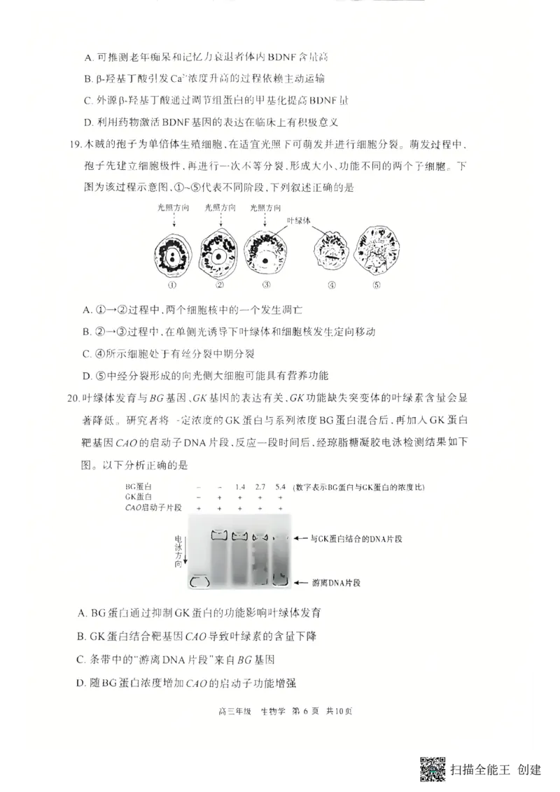 2026届内蒙古呼和浩特市高三年级第一次模拟考试生物学试卷_2024-2026高三（6-6月题库）_2026年03月高三试卷_2603222026届内蒙古呼和浩特市高三下学期第一次模拟考试（全科）