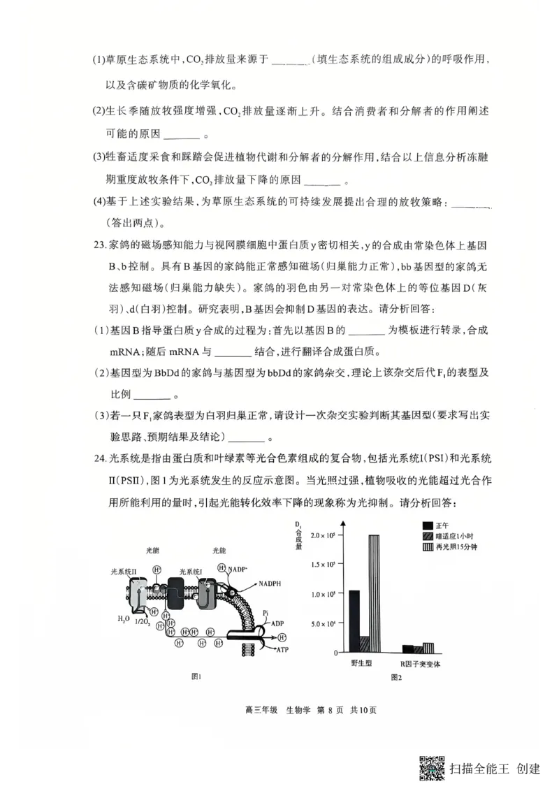 2026届内蒙古呼和浩特市高三年级第一次模拟考试生物学试卷_2024-2026高三（6-6月题库）_2026年03月高三试卷_2603222026届内蒙古呼和浩特市高三下学期第一次模拟考试（全科）