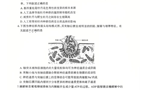 2026届内蒙古呼和浩特市高三年级第一次模拟考试生物学试卷_2024-2026高三（6-6月题库）_2026年03月高三试卷_2603222026届内蒙古呼和浩特市高三下学期第一次模拟考试（全科）