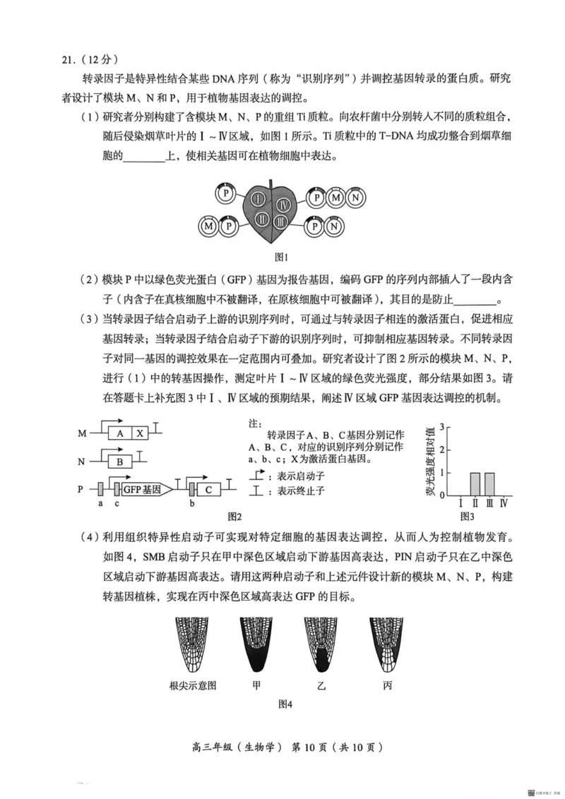 2026北京海淀高三一模生物（含答案）_2024-2026高三（6-6月题库）_2026年04月高三试卷_2604132026北京海淀区高三一模（全科）