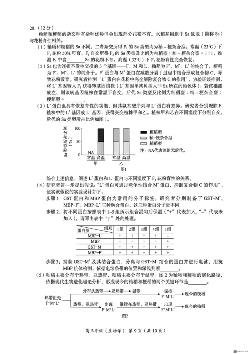 2026北京海淀高三一模生物（含答案）_2024-2026高三（6-6月题库）_2026年04月高三试卷_2604132026北京海淀区高三一模（全科）