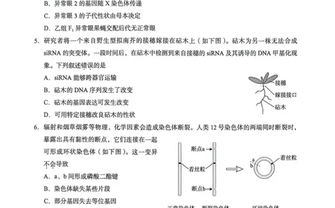 2026北京海淀高三一模生物（含答案）_2024-2026高三（6-6月题库）_2026年04月高三试卷_2604132026北京海淀区高三一模（全科）