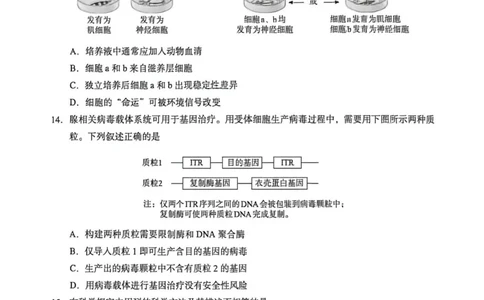 2026北京海淀高三一模生物（含答案）_2024-2026高三（6-6月题库）_2026年04月高三试卷_2604132026北京海淀区高三一模（全科）