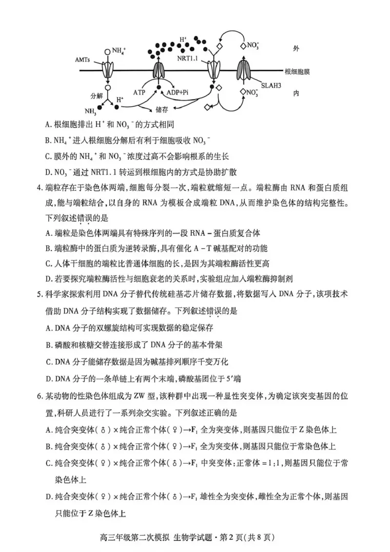 2026年高三年级第二次模拟考试试题生物_2024-2026高三（6-6月题库）_2026年04月高三试卷_260412甘肃省2026年高三年级第二次模拟考试试题（全科）