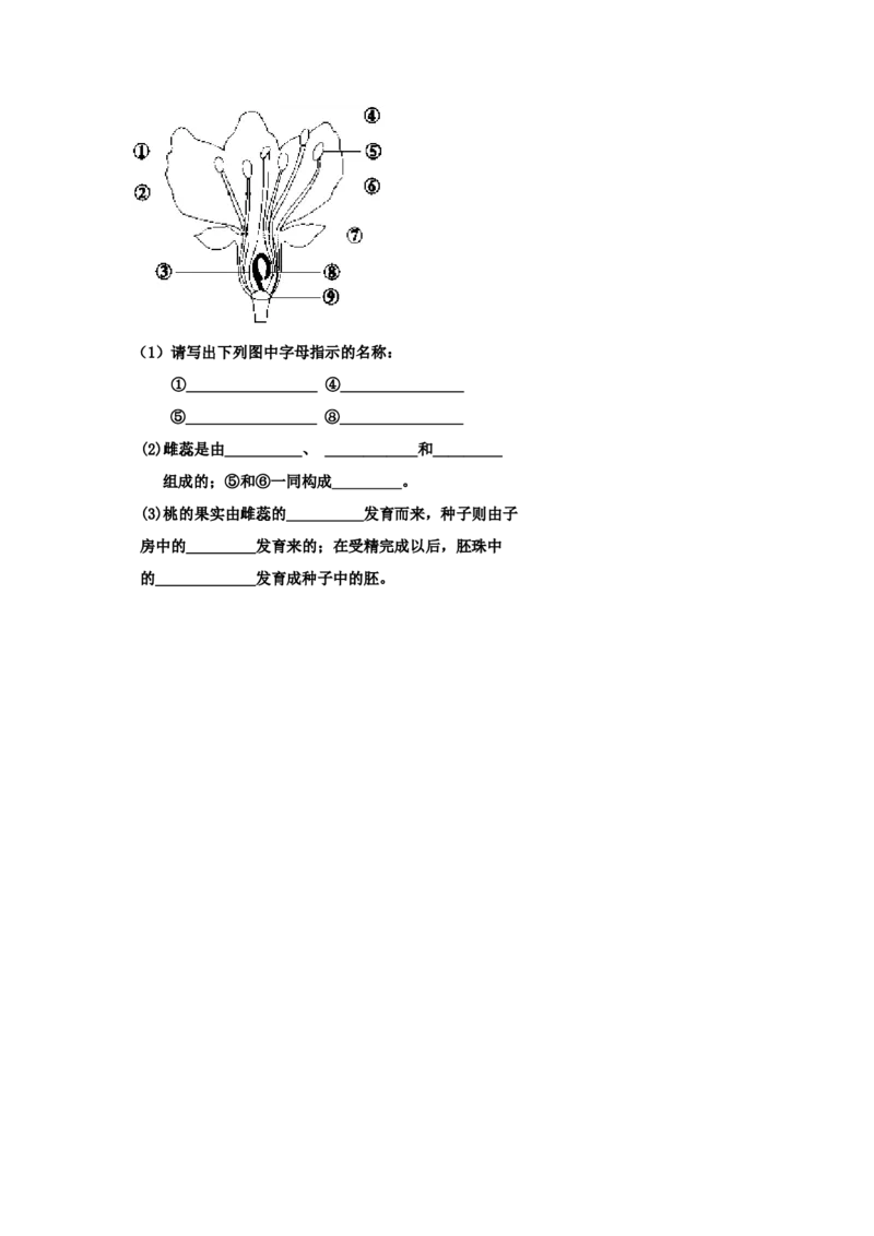 第三次月考试题2含答案_初中全科电子版试卷练习试题_生物_生物人教版7上练习&mdash;24新版已更新_人教生物7年级上月考试卷04份
