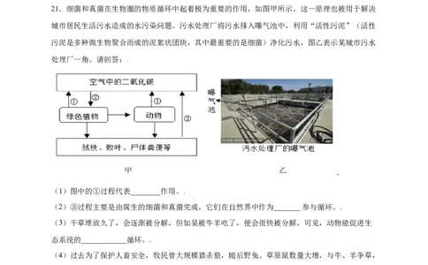 第五单元（第三章）动物在生物圈中的作用（选拔卷）-（人教版）（原卷版）_初中全科电子版试卷练习试题_生物_生物8上练习_人教生物8年级上单元试卷48份