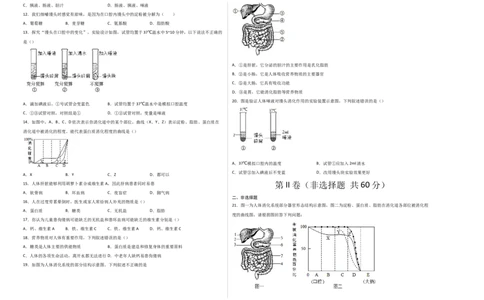第二单元人体的营养（选拔卷）-单元测试（人教版）（考试版）_初中全科电子版试卷练习试题_生物_生物人教版7下练习_人教生物7年级下单元试卷33份