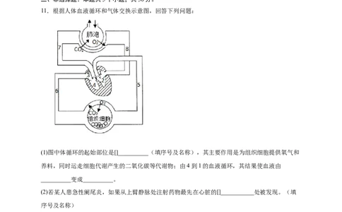 第四单元人体内物质的运输（提分小卷）-单元测试（人教版）（原卷版）_初中全科电子版试卷练习试题_生物_生物人教版7下练习_人教生物7年级下单元试卷33份