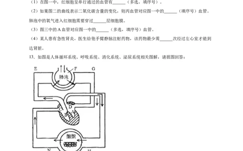 第四单元人体内物质的运输（提分小卷）-单元测试（人教版）（原卷版）_初中全科电子版试卷练习试题_生物_生物人教版7下练习_人教生物7年级下单元试卷33份