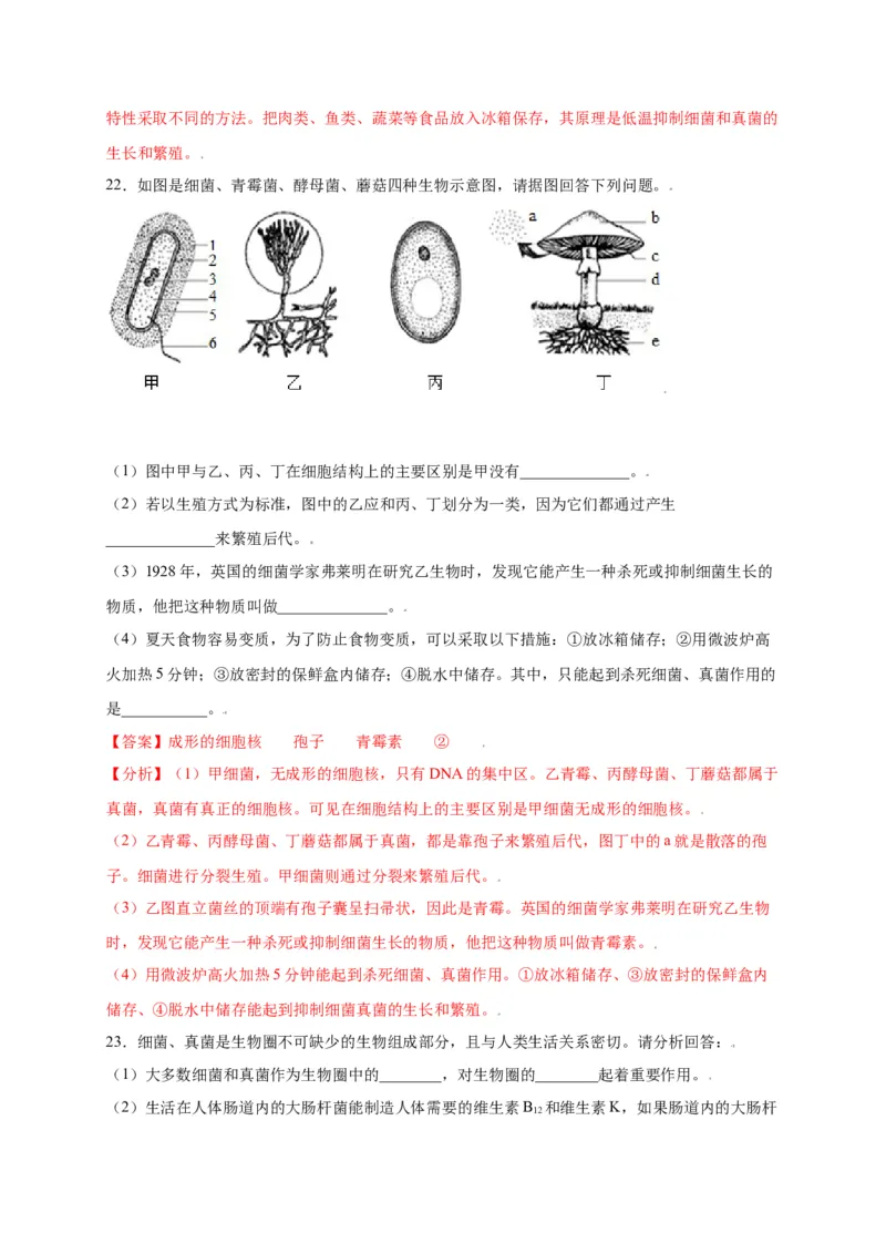 第五单元（第四章）细菌和真菌（选拔卷）-（人教版）（解析版）_初中全科电子版试卷练习试题_生物_生物8上练习_人教生物8年级上单元试卷48份