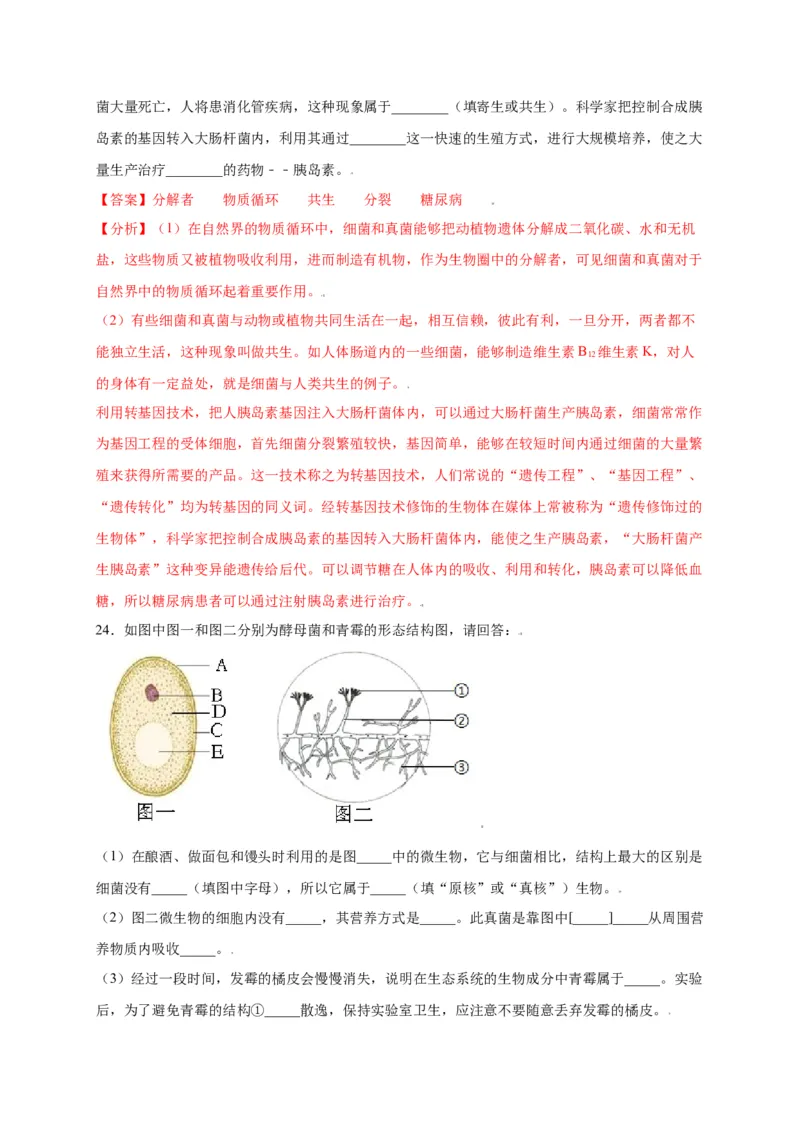 第五单元（第四章）细菌和真菌（选拔卷）-（人教版）（解析版）_初中全科电子版试卷练习试题_生物_生物8上练习_人教生物8年级上单元试卷48份