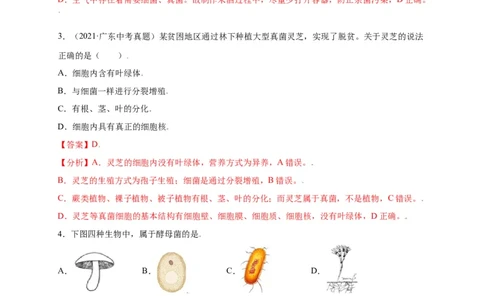 第五单元（第四章）细菌和真菌（选拔卷）-（人教版）（解析版）_初中全科电子版试卷练习试题_生物_生物8上练习_人教生物8年级上单元试卷48份