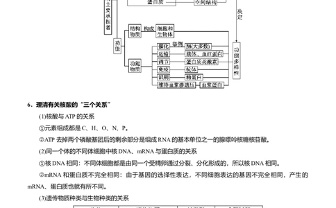原创（新高考）2021届高考二轮精品专题一组成细胞的分子教师版_新高考复习资料_2021年新高考资料_2021届（新高考）生物二轮精品专题