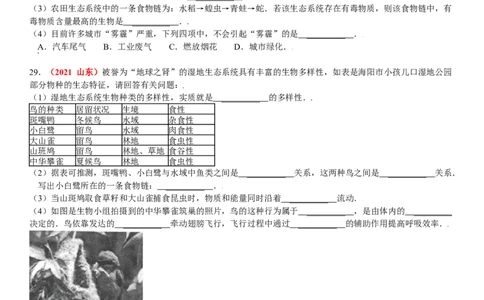 第二章认识生物的多样性真题模拟练-（人教版）（原卷版）_初中全科电子版试卷练习试题_生物_生物8上练习_人教生物8年级上单元试卷48份