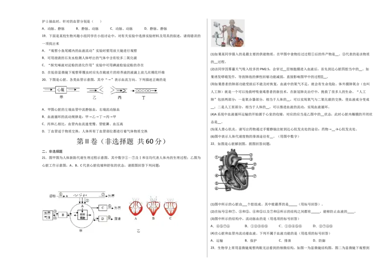 第四单元人体内物质的运输（选拔卷）-单元测试（人教版）（考试版）_初中全科电子版试卷练习试题_生物_生物人教版7下练习_人教生物7年级下单元试卷33份