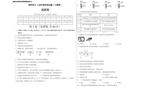 第四单元人体内物质的运输（选拔卷）-单元测试（人教版）（考试版）_初中全科电子版试卷练习试题_生物_生物人教版7下练习_人教生物7年级下单元试卷33份
