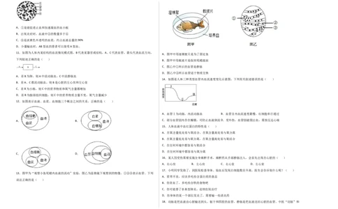 第四单元人体内物质的运输（选拔卷）-单元测试（人教版）（考试版）_初中全科电子版试卷练习试题_生物_生物人教版7下练习_人教生物7年级下单元试卷33份