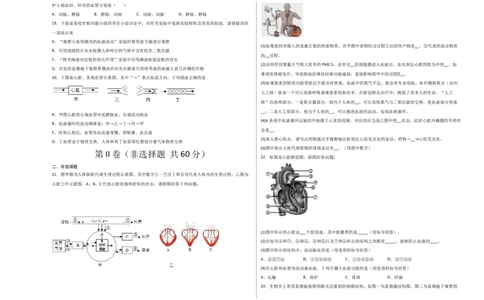 第四单元人体内物质的运输（选拔卷）-单元测试（人教版）（考试版）_初中全科电子版试卷练习试题_生物_生物人教版7下练习_人教生物7年级下单元试卷33份