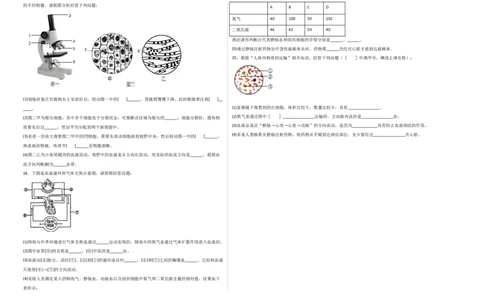 第四单元人体内物质的运输（选拔卷）-单元测试（人教版）（考试版）_初中全科电子版试卷练习试题_生物_生物人教版7下练习_人教生物7年级下单元试卷33份