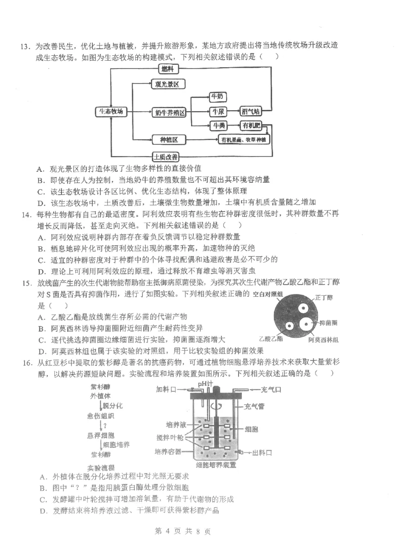 2026届湖北新八校4月检测-生物试卷_2024-2026高三（6-6月题库）_2026年04月高三试卷_260415湖北新八校2026届高三4月联考（二模）（全科）