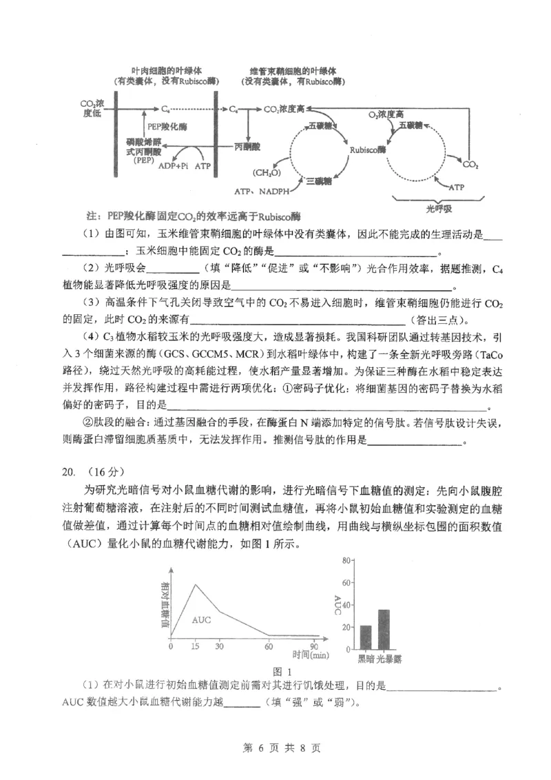 2026届湖北新八校4月检测-生物试卷_2024-2026高三（6-6月题库）_2026年04月高三试卷_260415湖北新八校2026届高三4月联考（二模）（全科）