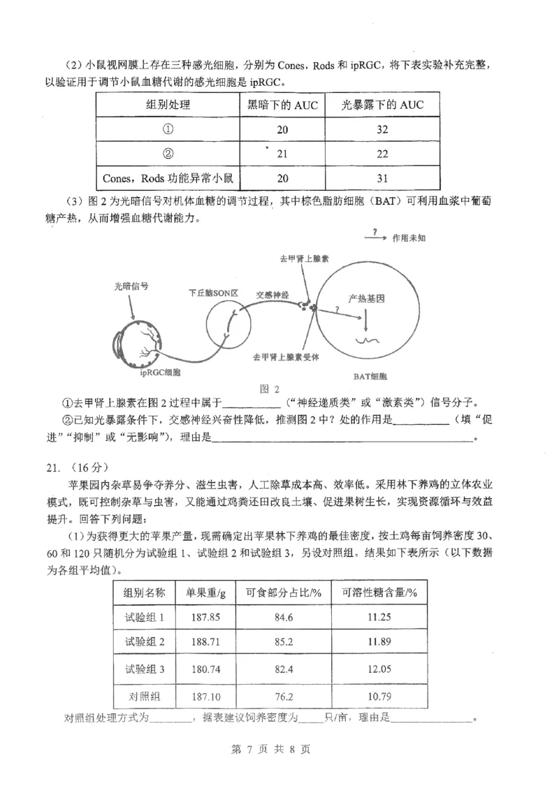 2026届湖北新八校4月检测-生物试卷_2024-2026高三（6-6月题库）_2026年04月高三试卷_260415湖北新八校2026届高三4月联考（二模）（全科）