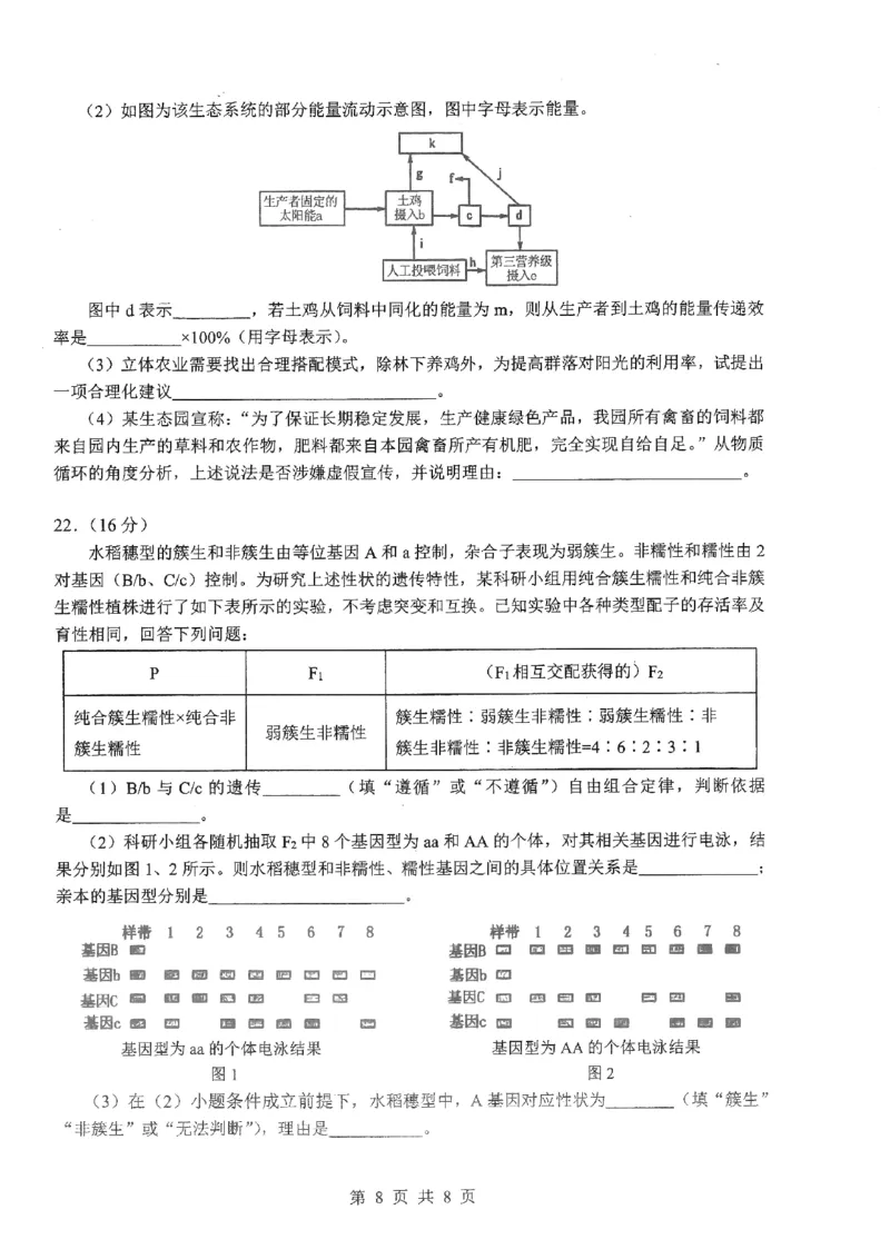 2026届湖北新八校4月检测-生物试卷_2024-2026高三（6-6月题库）_2026年04月高三试卷_260415湖北新八校2026届高三4月联考（二模）（全科）