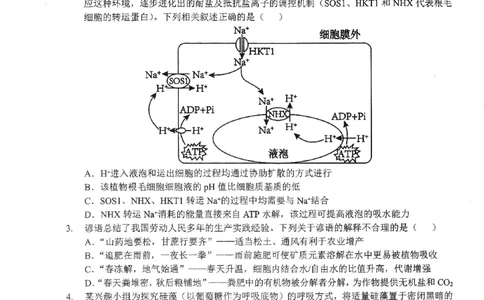 2026届湖北新八校4月检测-生物试卷_2024-2026高三（6-6月题库）_2026年04月高三试卷_260415湖北新八校2026届高三4月联考（二模）（全科）