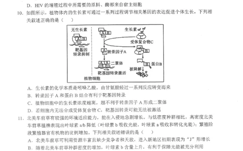 2026届湖北新八校4月检测-生物试卷_2024-2026高三（6-6月题库）_2026年04月高三试卷_260415湖北新八校2026届高三4月联考（二模）（全科）