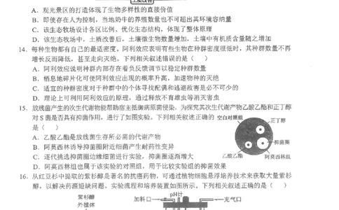 2026届湖北新八校4月检测-生物试卷_2024-2026高三（6-6月题库）_2026年04月高三试卷_260415湖北新八校2026届高三4月联考（二模）（全科）