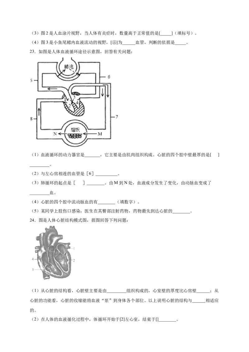 第四章人体内物质的运输（基础过关）-（人教版）（原卷版）_初中全科电子版试卷练习试题_生物_生物人教版7下练习_人教生物7年级下单元试卷33份