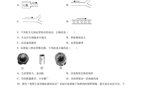 第四章人体内物质的运输（基础过关）-（人教版）（原卷版）_初中全科电子版试卷练习试题_生物_生物人教版7下练习_人教生物7年级下单元试卷33份