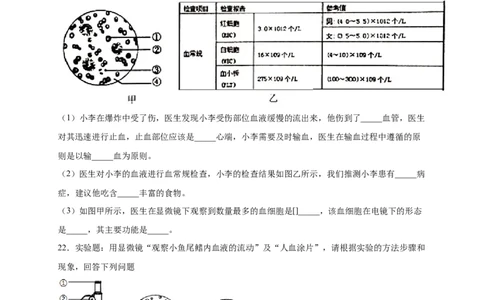 第四章人体内物质的运输（基础过关）-（人教版）（原卷版）_初中全科电子版试卷练习试题_生物_生物人教版7下练习_人教生物7年级下单元试卷33份