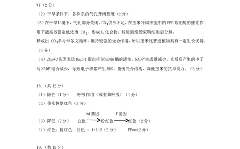 2026届茂名市2026届高三下学期二模考试生物答案_2024-2026高三（6-6月题库）_2026年04月高三试卷_260419广东省茂名市2026年高三年级第二次综合测试（全科）