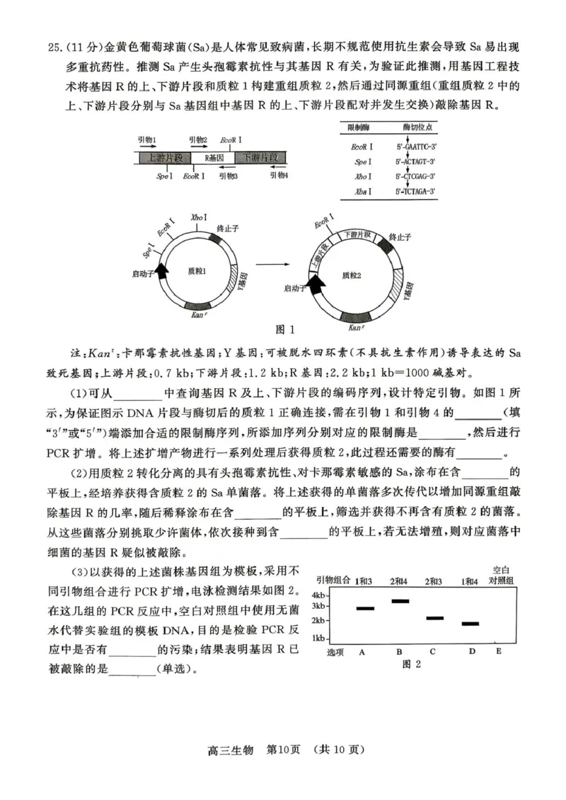 2026届山东东营市胜利第二中学等校高三4月核心素养评估生物试题2026届山东东营市胜利第二中学等校高三4月核心素养评估生物试题_2024-2026高三（6-6月题库）_2026年04月高三试卷