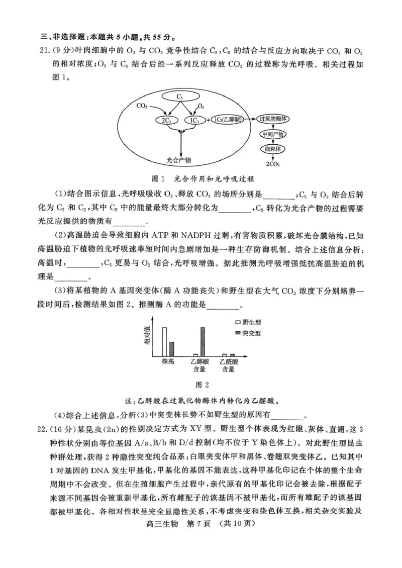 2026届山东东营市胜利第二中学等校高三4月核心素养评估生物试题2026届山东东营市胜利第二中学等校高三4月核心素养评估生物试题_2024-2026高三（6-6月题库）_2026年04月高三试卷