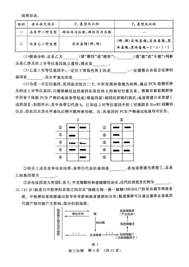 2026届山东东营市胜利第二中学等校高三4月核心素养评估生物试题2026届山东东营市胜利第二中学等校高三4月核心素养评估生物试题_2024-2026高三（6-6月题库）_2026年04月高三试卷