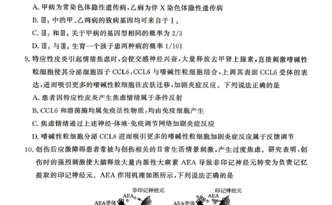 2026届山东东营市胜利第二中学等校高三4月核心素养评估生物试题2026届山东东营市胜利第二中学等校高三4月核心素养评估生物试题_2024-2026高三（6-6月题库）_2026年04月高三试卷