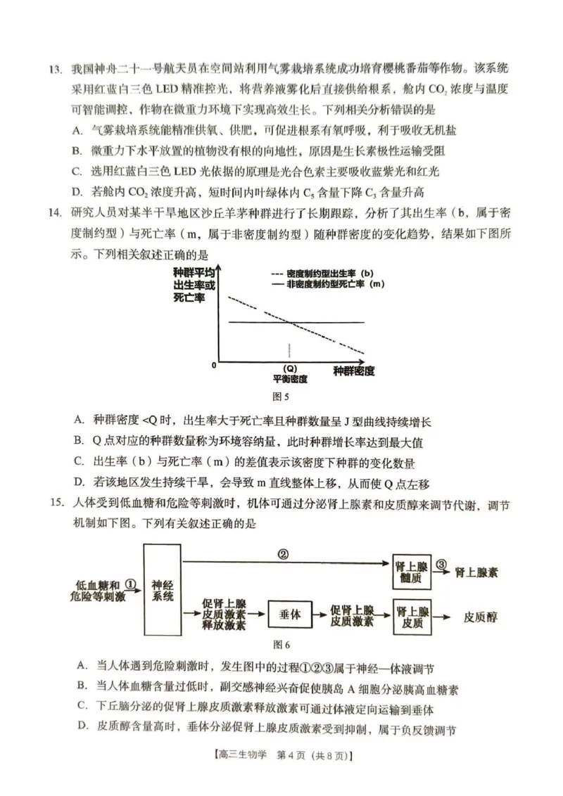 2026年4月高中毕业班教学质量调研生物_2024-2026高三（6-6月题库）_2026年04月高三试卷_260426广西省南宁市2026年4月高中毕业班教学质量调研（全科）