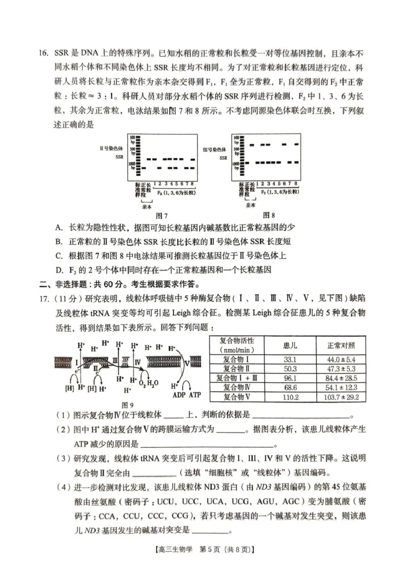 2026年4月高中毕业班教学质量调研生物_2024-2026高三（6-6月题库）_2026年04月高三试卷_260426广西省南宁市2026年4月高中毕业班教学质量调研（全科）
