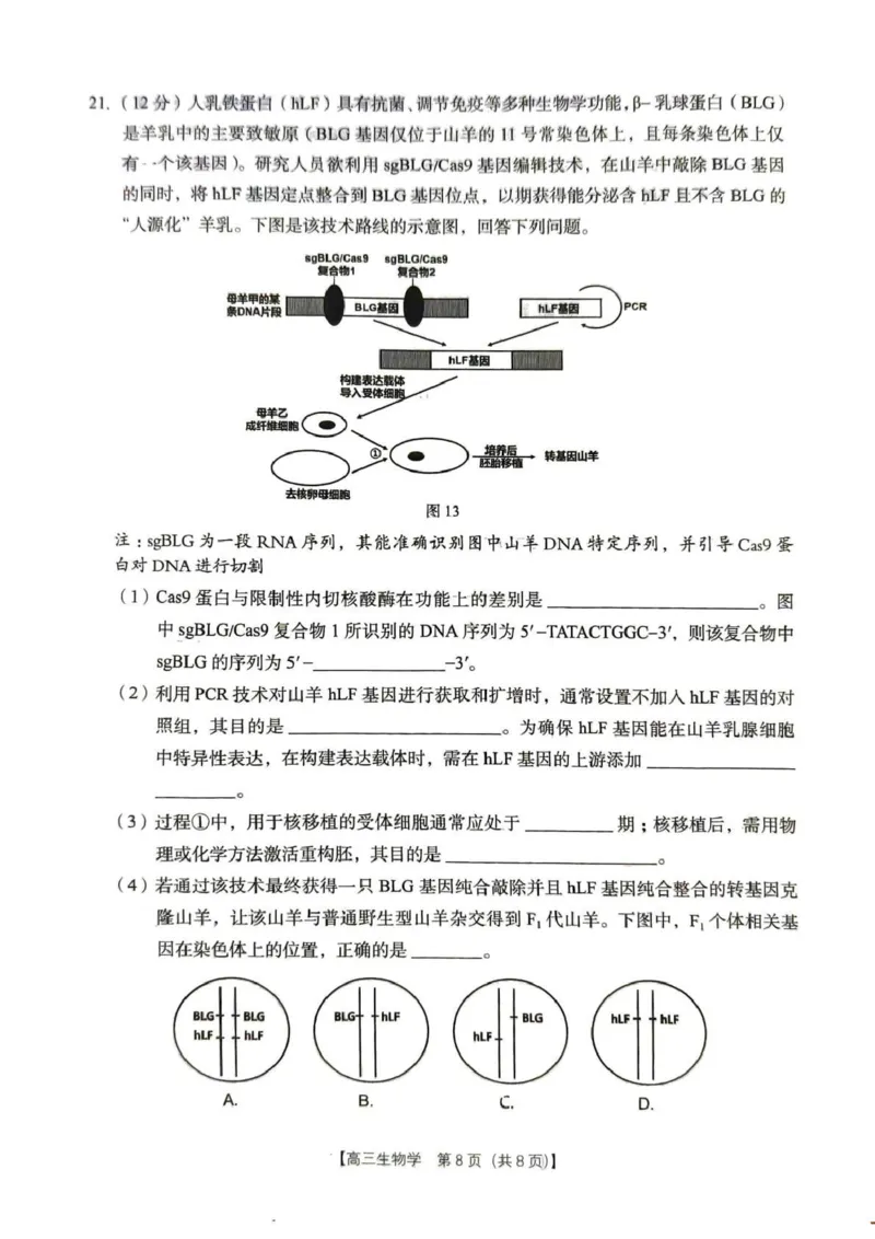 2026年4月高中毕业班教学质量调研生物_2024-2026高三（6-6月题库）_2026年04月高三试卷_260426广西省南宁市2026年4月高中毕业班教学质量调研（全科）
