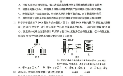 2026年4月高中毕业班教学质量调研生物_2024-2026高三（6-6月题库）_2026年04月高三试卷_260426广西省南宁市2026年4月高中毕业班教学质量调研（全科）