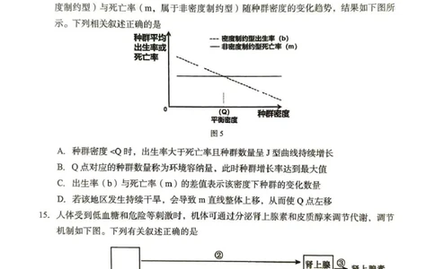 2026年4月高中毕业班教学质量调研生物_2024-2026高三（6-6月题库）_2026年04月高三试卷_260426广西省南宁市2026年4月高中毕业班教学质量调研（全科）