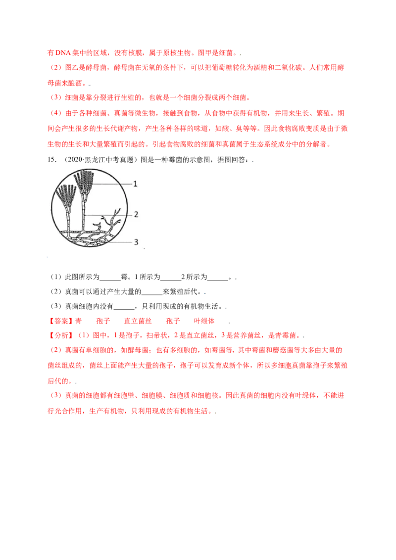 第五单元（第四章）细菌和真菌（提分小卷）-（人教版）（解析版）_初中全科电子版试卷练习试题_生物_生物8上练习_人教生物8年级上单元试卷48份