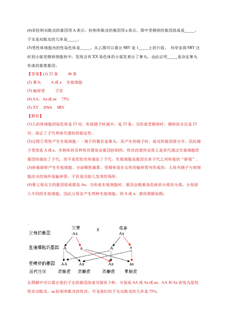 第二单元生物的遗传与变异（选拔卷）-单元测试（人教版）（解析版）_初中全科电子版试卷练习试题_生物_生物8下练习_人教生物8年级下单元试卷38份