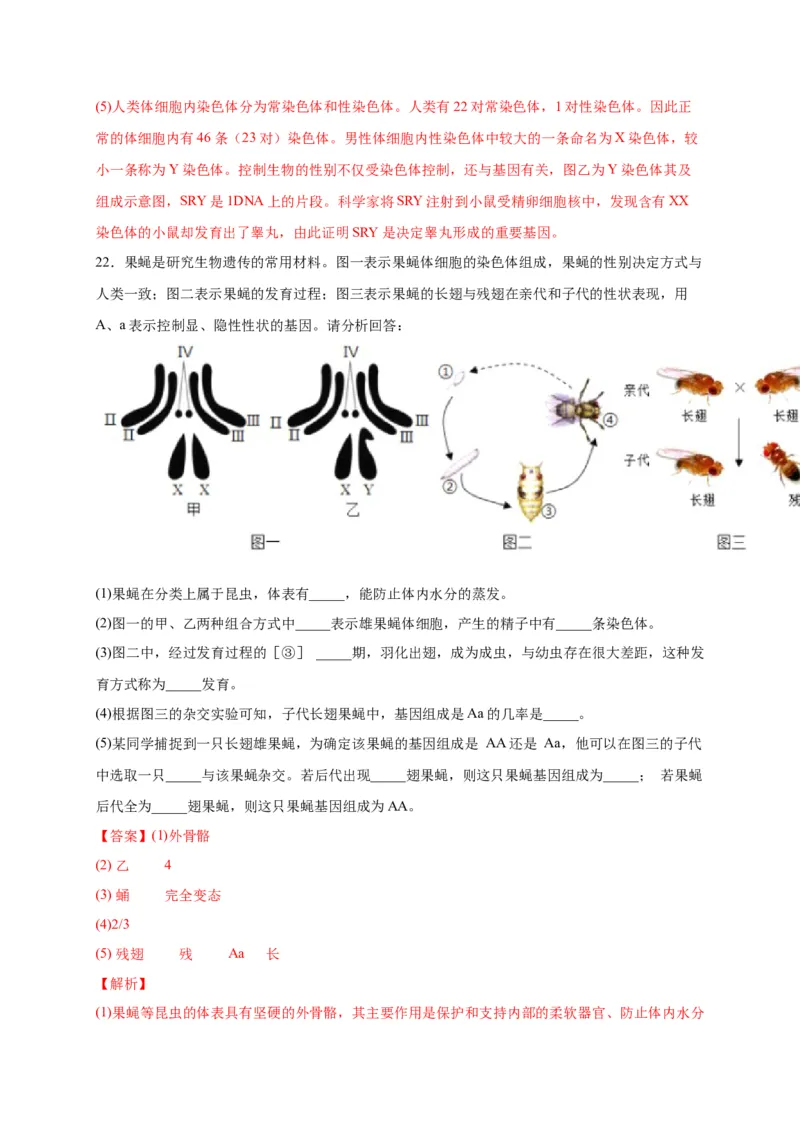 第二单元生物的遗传与变异（选拔卷）-单元测试（人教版）（解析版）_初中全科电子版试卷练习试题_生物_生物8下练习_人教生物8年级下单元试卷38份