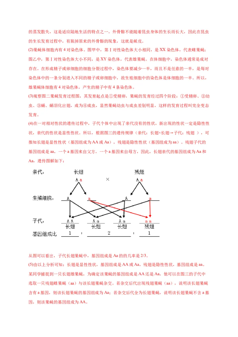 第二单元生物的遗传与变异（选拔卷）-单元测试（人教版）（解析版）_初中全科电子版试卷练习试题_生物_生物8下练习_人教生物8年级下单元试卷38份